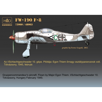 HAD48063 FW-190 F-8 (White 34, 65 " Pöttöm", green C)