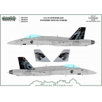 MD48207 F/A-18 Switzerland  Panthers special scheme - masks set 